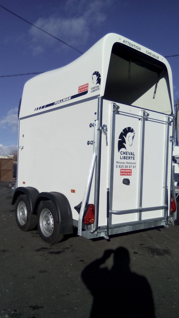 Van 1.5 places cheval liberté gold one white line – Image 5