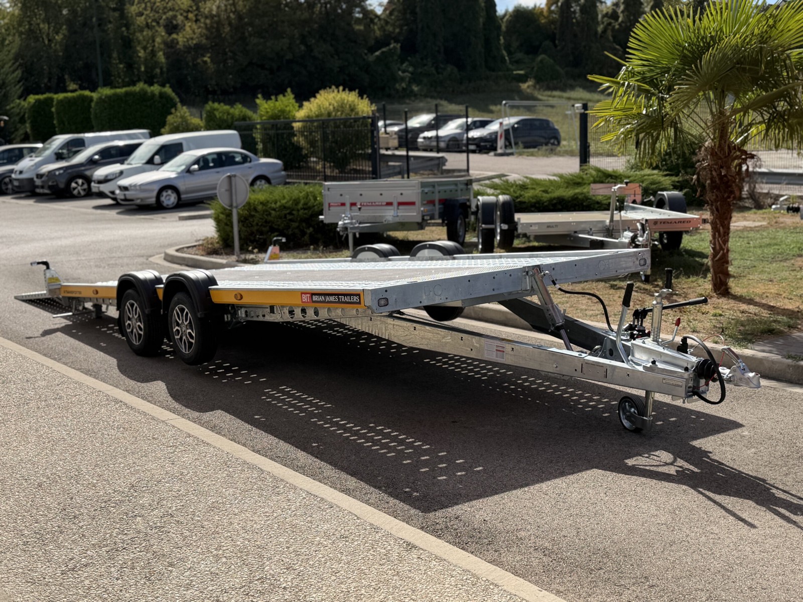 A-TRANSPORTER 5020-30-2-12 - 3000 kg – Image 7